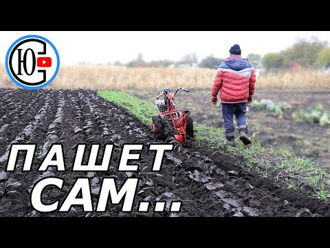 Видео: Мотоблок ПАШЕТ САМ...я только иду рядом!