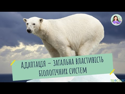 Видео: Адаптація як загальна властивість біологічних систем