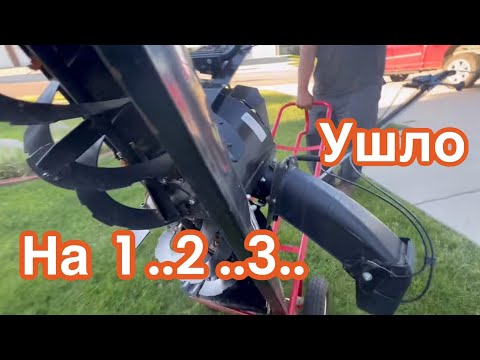 Видео: Зачем Покупать, если можно Продать и Заработать ‼️Посадка можевельника …Меня не остановить