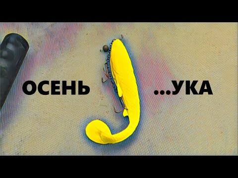 Видео: Осенний ЖОР?