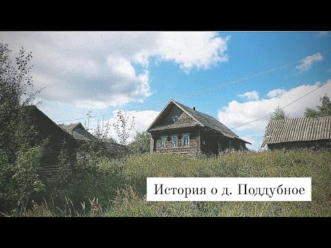 Видео: д. Поддубное | Тверская область | Селижарово | История о  наших краях