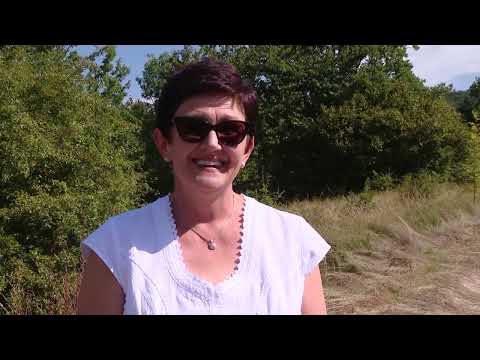 Видео: Илиндан у Бравску, Чувари Крајине РТРС