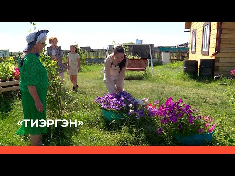 Видео: «Тиэргэн»  (04.08.23)