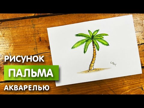 Видео: Как нарисовать пальму карандашом и акварелью | Рисунок поэтапно и легко для детей