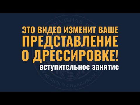 Видео: Вступительное занятие запись | Курсы кинологов