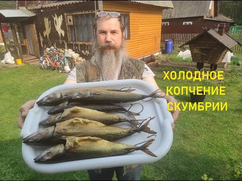 Видео: СКУМБРИЯ ХОЛОДНОГО КОПЧЕНИЯ .Как закоптить.