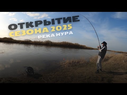Видео: ТРОФЕЙНЫЕ НАЛИМ, ЯЗЬ И ЛЕЩ ГНУТ УДОЧКИ НА НУРЕ. ОТКРЫТИЕ СЕЗОНА РЫБАЛКИ. АПРЕЛЬ 2025.