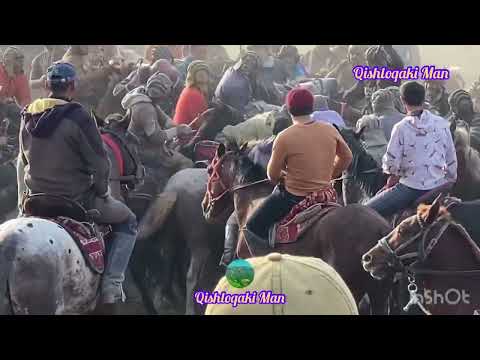 Видео: Бузкаши 26.11.2023 д.Назарбои н.Ш.Шоҳин #4.