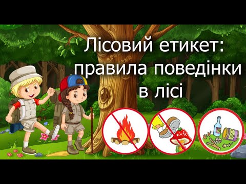 Видео: Правила поведінки в лісі. Лісовий етикет