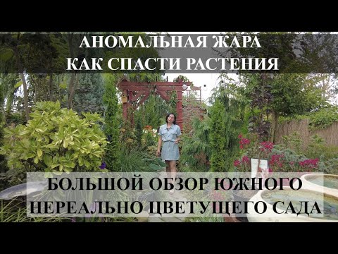 Видео: БОЛЬШОЙ ОБЗОР  ЮЖНОГО САДА \ Аномальная ЖАРА \ НЕРЕАЛЬНОЕ ЦВЕТЕНИЕ \ Какие растения любят жару