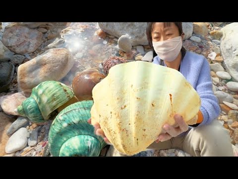 Видео: Огромная морская ракушка. Можете себе представить, насколько велика жемчужина внутри нее.