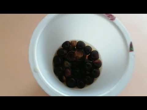 Видео: Подготовка и посев семян