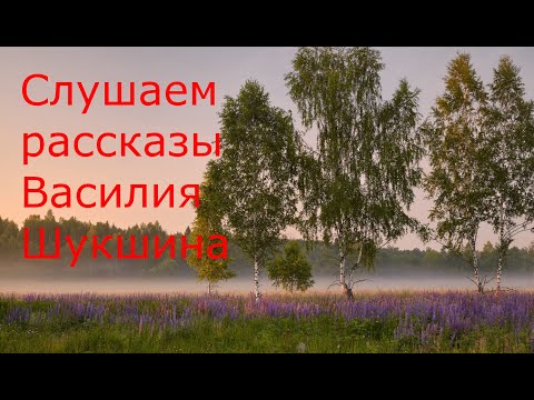 Видео: АУДИО: Слушаем рассказы Василия Шукшина //Чудик, Материнское сердце и др.