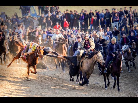 Видео: Сӯх купкари улоқ. Ако Восит 24.02.2021