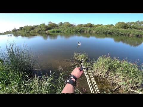 Видео: Охота с Рогаткой SLINGSHOT FISHING