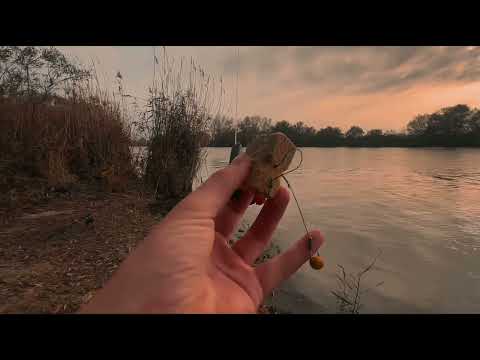 Видео: Выбрался половить на Кубань. Фидер|донка