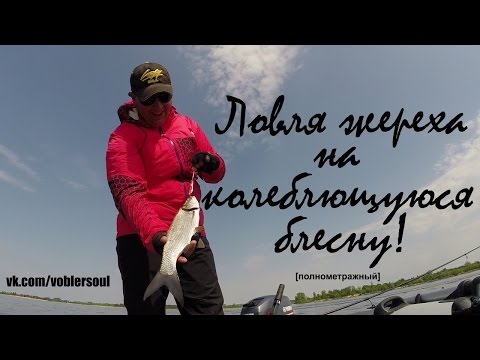 Видео: Ловля жереха на колеблющуюся блесну. Техника подачи приманки..