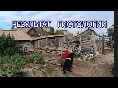 Видео: Устроила дымовуху вредителям, посадили дерево и накормили мышей. Звонил хирург. 