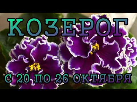 Видео: КОЗЕРОГ таро прогноз на неделю с 20 по 26 ОКТЯБРЯ 2025 года