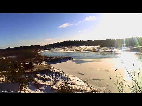 Видео: 03 ноября,прогулка с Пулькой.