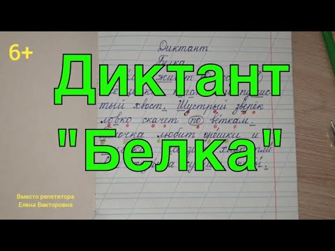 Видео: 26. Диктант  " Белка" с грамматическим заданием