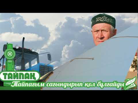 Видео: Тайпак