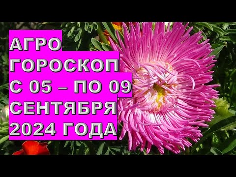 Видео: Агрогороскоп с 05 по 09 сентября 2024 года  Agrohoroscope from September 5 to September 9, 2024