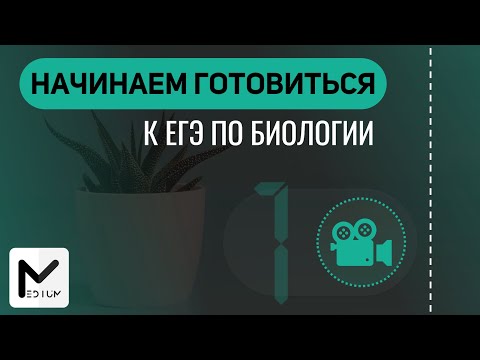 Видео: Самый уникальный формат подготовки к ЕГЭ по биологии / MEDIUM