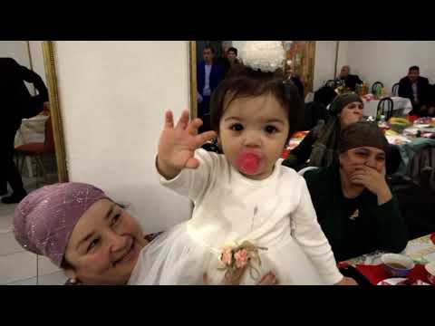 Видео: Туй Руслан. Часть 13