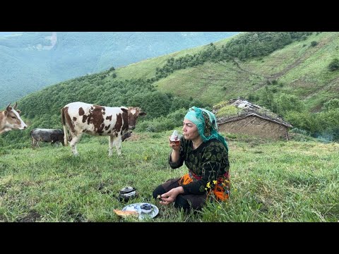 Видео: Повседневная жизнь в горах Ирана в роли одинокой кочевницы-пастушка