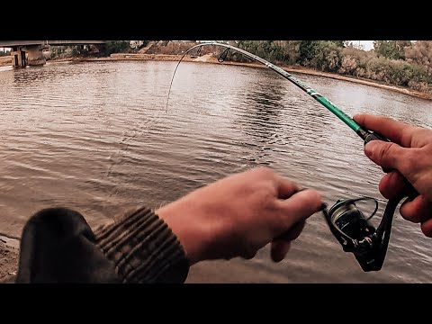 Видео: Таких ОКУНЕЙ я ещё не ловил никогда!Рыбалка на реке Бердь.Эта пиявка опять выручила!!!