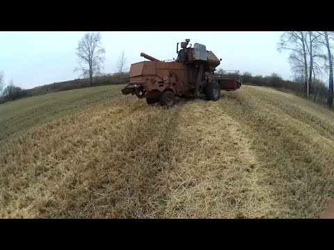 Видео: Огородно-полевая уборочная 2025. Нива СК-5 на новом поле.