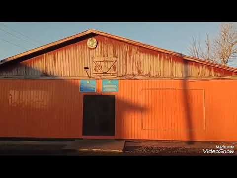 Видео: Қарағаш ауылы
