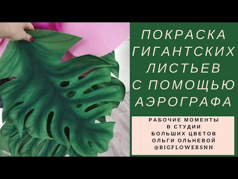 Видео: Покраска гигантских листьев для экзотических цветов с помощью аэрографа. Мастер-класс Ольги Ольневой