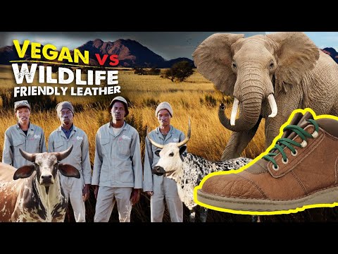 Видео: Веганские и безопасные для дикой природы кожаные ботинки // В чём разница? // Обувь Джима Грина