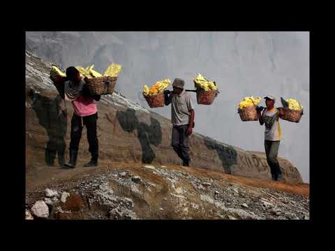 Видео: Трагедия Всей Жизни (ТВЖ), Дрим  - Желторотые народы