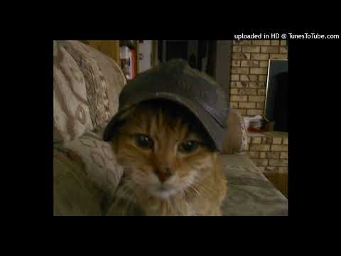 Видео: [FREE] тёмный принц + голодный + madk1d Type beat