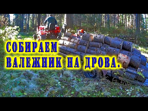 Видео: СОБИРАЕМ ВАЛЕЖНИК 2021