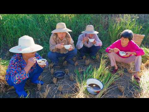 Видео: 86-летняя бабушка готовит рисовое вино ради огромного урожая риса