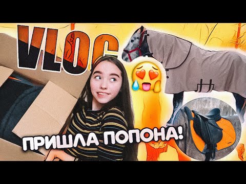 Видео: VLOG Распаковка КОННОЙ посылки! + примерка