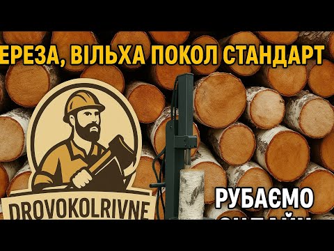 Видео: Береза і вільха поколу стандарт с.В.Житин