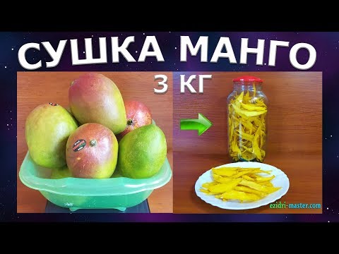 Видео: Сушка манго – 3 кг
