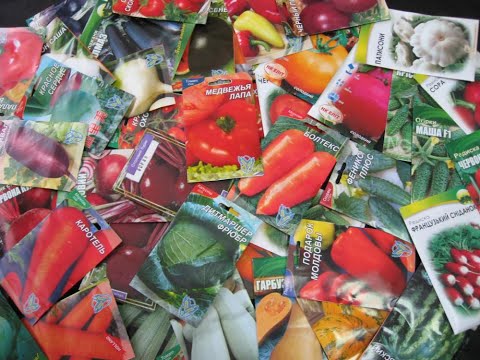 Видео: Обзор семян томатов и огурцов на  26 год.