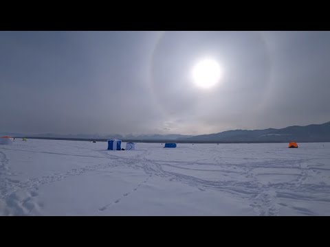 Видео: ОМУЛЬ ОТРЫВАЕТ МУХИ!!! РЫБАЛКА НА БАЙКАЛЕ - ЛОВЛЯ БАЙКАЛЬСКОГО ОМУЛЯ СО ЛЬДА - НАСТРОЙ НА ОМУЛЯ