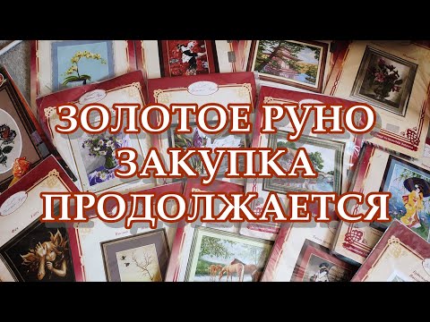 Видео: ЗОЛОТОЕ РУНО | ЗАКУПКА ПРОДОЛЖАЕТСЯ