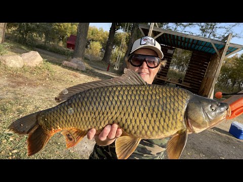 Видео: РЫБАЛКА НА САЗАНА ПРОШЛА УДАЧНО! ЖОР САЗАНЫ, ТОЛСТОЛОБИК ! Рыбацкая Усадьба Кораблик Actor GPS Camo