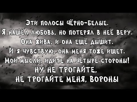 Видео: Нервы - Вороны Lyric Video (текст)