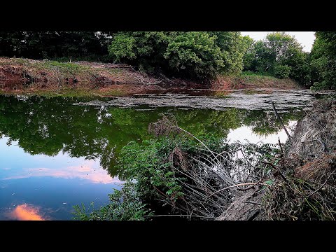 Видео: КАКВО си ХВАНАХ. Риболов на плувка на ново място.