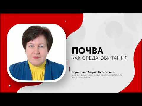 Видео: Почва как среда обитания