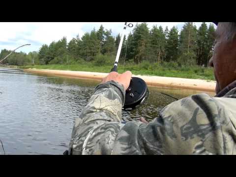 Видео: С колебалкой и "Нельмой" вокруг дуба.
